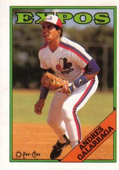 1988 O-Pee-Chee Baseball Cards 025      Andres Galarraga